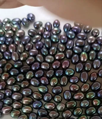 Perle d'eau douce Akoya, toutes couleurs, bijoux à la mode disponibles